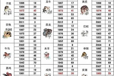 马 五行|生肖属相五行对照表 十二生肖与五行对照表